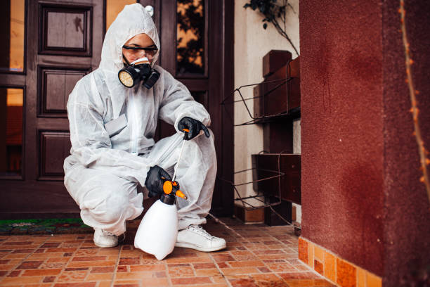 Reliable Cockroach Control contractor in York, PA by Nex Pest Control